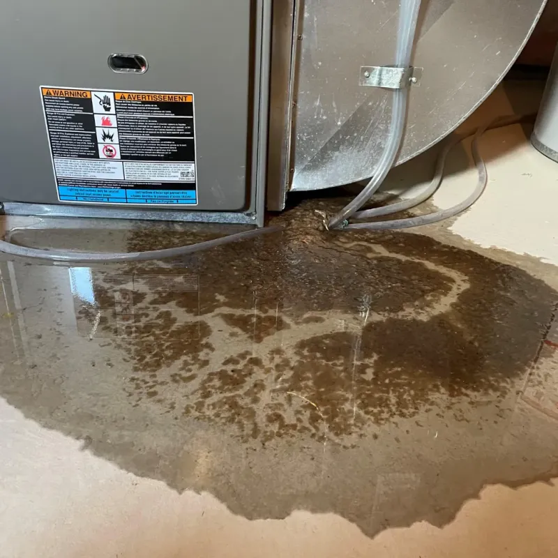 Appliance Leak Cleanup in Mountain Brook, AL